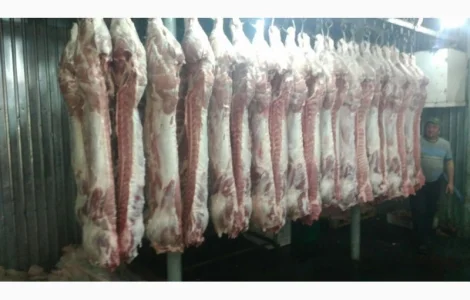 Мясо Свіже Охолоджене в пів тушках