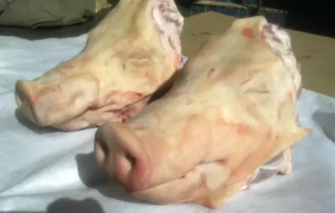 Продам голови свинячі