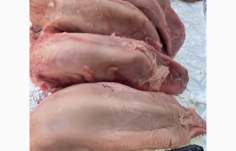 Продам язык свиной замороженный