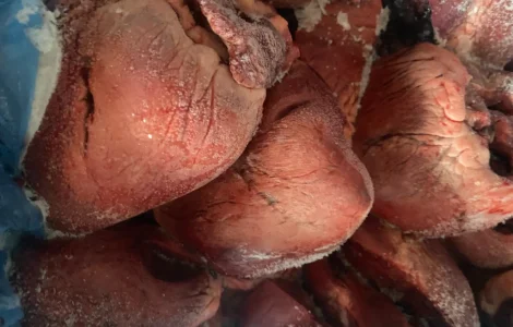 Продам сердце свине