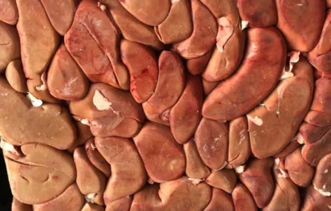 Продам нирки свинячі заморожені