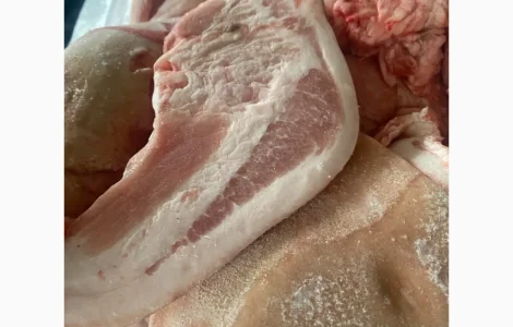 Продам баки свині