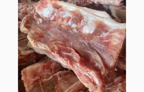 Продам кістку хребтову