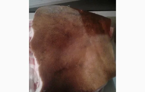 Продам домашнее сало на шкуре