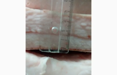 Продаем сало Иберийской свиньи 3+ и 4+ напрямую из Испании