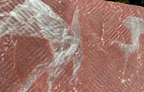 Продам Фарш Куриный ММО 1мм