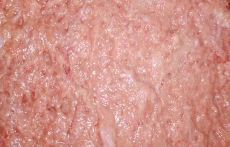 Фарш МясоМеханічнаОбвалка 1мм Курячій