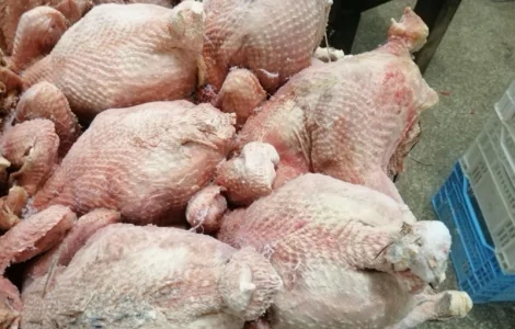 Тушки Птицы вес 2-2.5 кг в продаже