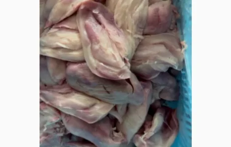 Філе куряче