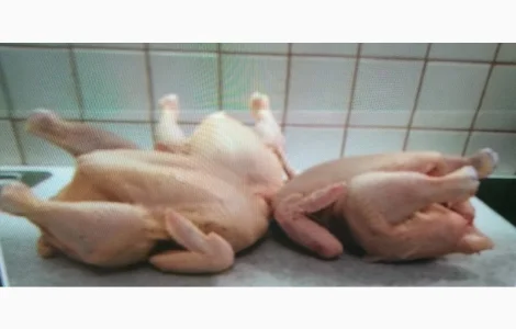 Купуємо курятину в роздріб