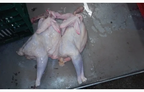 Продажа тушек суповой курицы