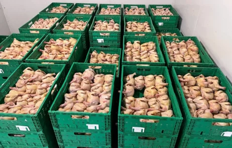 Тушка курицы тапака от фермеров