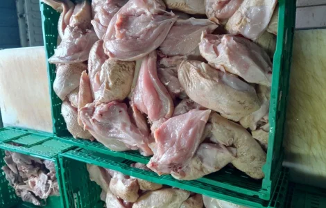 Філе куряче