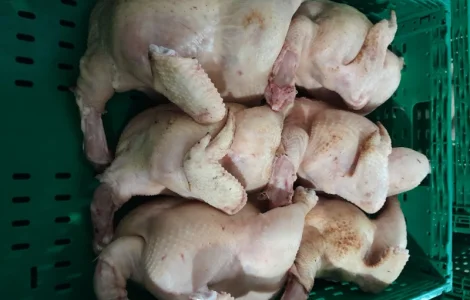 Тушка курицы ХАЛЯЛЬ на заказ