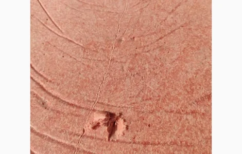 Фарш куриный ммо 1мм