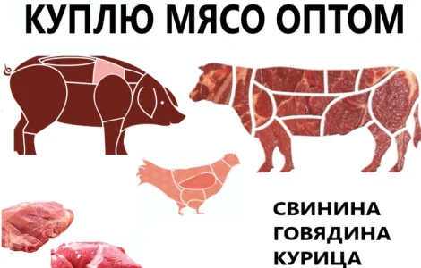 Куплю мясо птицы (части куриные: филе