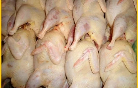 Оптова продажа BIO перепелиного м'яса