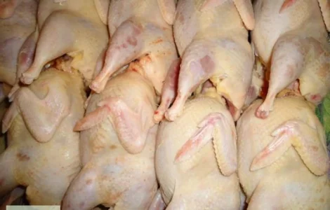 Мясо перепела, тушка - домашнее