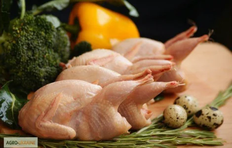 Свежие перепела, фазан и курица с домашней фермы