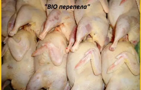М'ясо перепела BIO оптом