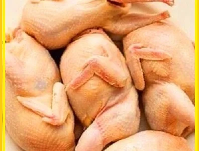 Свежие мясо кукурузного перепела оптом