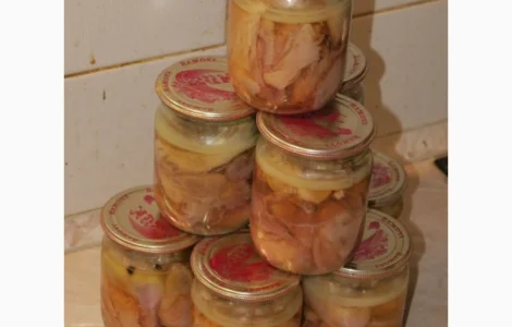 Тушонка перепелина