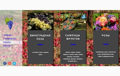 Фруктовые саженцы, виноградные саженцы для виноградников