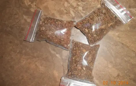 Прополіс
