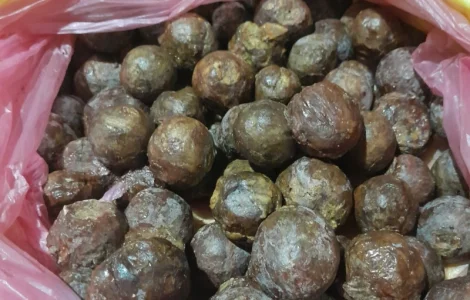 Продается чистый свежий прополис 2024 года