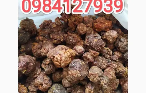 Продам якісний прополіс