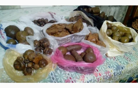 Продам прополіс оптом