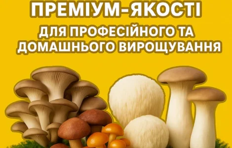 Мицелий съедобных и лечебных грибов