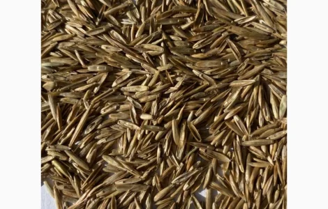 Продается универсальный газон