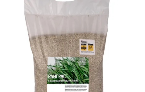 Райграс Литовський пасовищний Касеро 1 кг