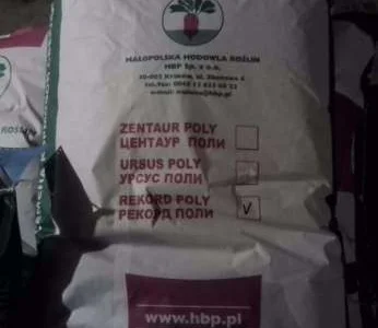 Кормовой буряк Польша