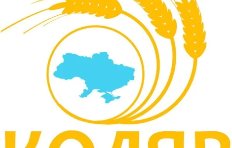 Райграс, вівсяниця, тимофіївка, люцерна, конюшина, фацелія, олійна редька