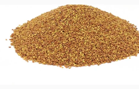 Продам Люцерну