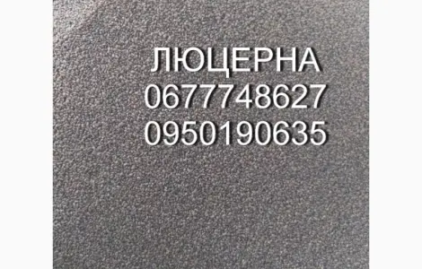 Люцерна Надежда