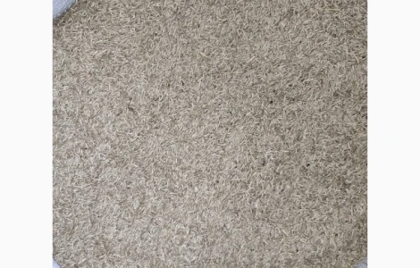 Суміш насіння кормових трав