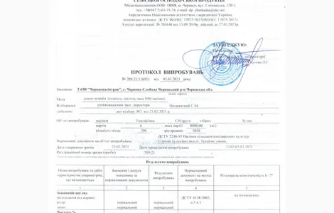 Тимофіївка 1кг продам