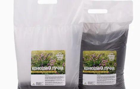 Конюшина лучна