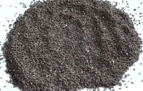 Куплю семена Фацелии