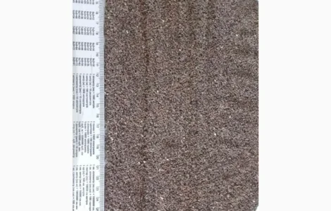 Продаємо насіння фацелії