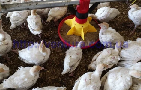 Годівниця(кормушка) Codaf