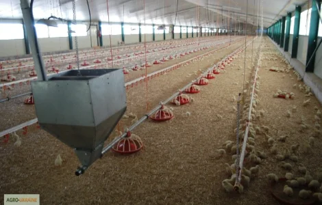 Продам оборудование для напольного выращивания бройлеров