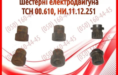Шестерні електродвигуна ТСН 00.610, НИ.11.12.251