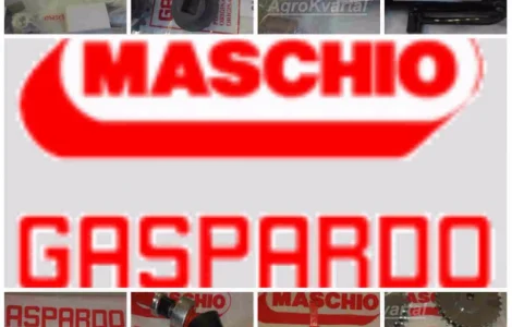 Запчасти Gaspardo (Гаспардо) по лучшим ценам в Днепре G20860126R Рем.комплект 2+2