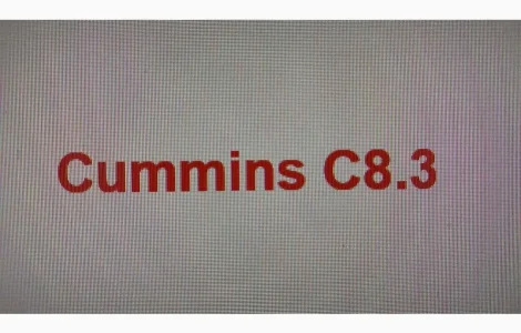 Запчастини двигуна Cummins C8.3
