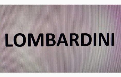 Запчастини до двигунів Lombardini LDW 1603 / B3 (МТЗ-320)
