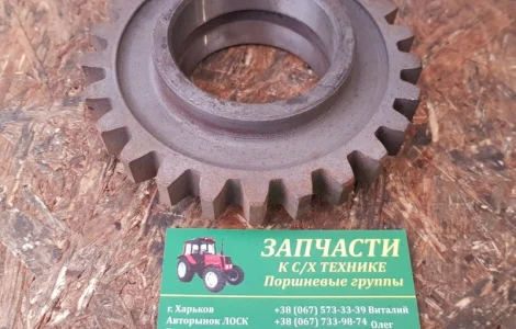 Шестерня ЮМЗ КПП заднего ходо паразитная ЮМЗ-6, Д-65